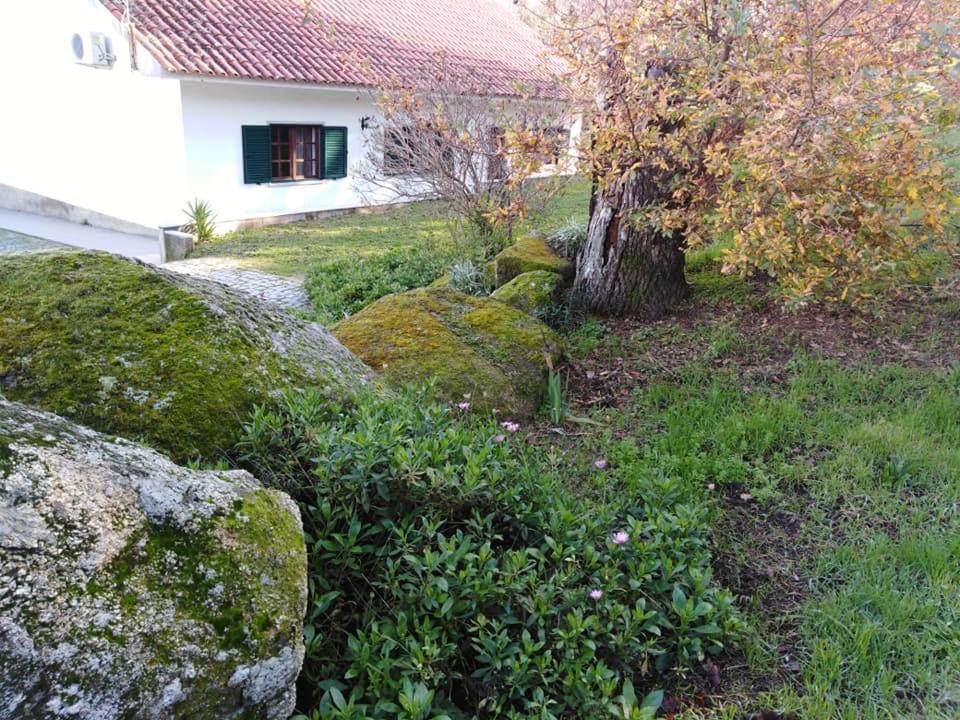 Vila Quinta Souto Da Ordem - House Castelo Novo Exteriér fotografie