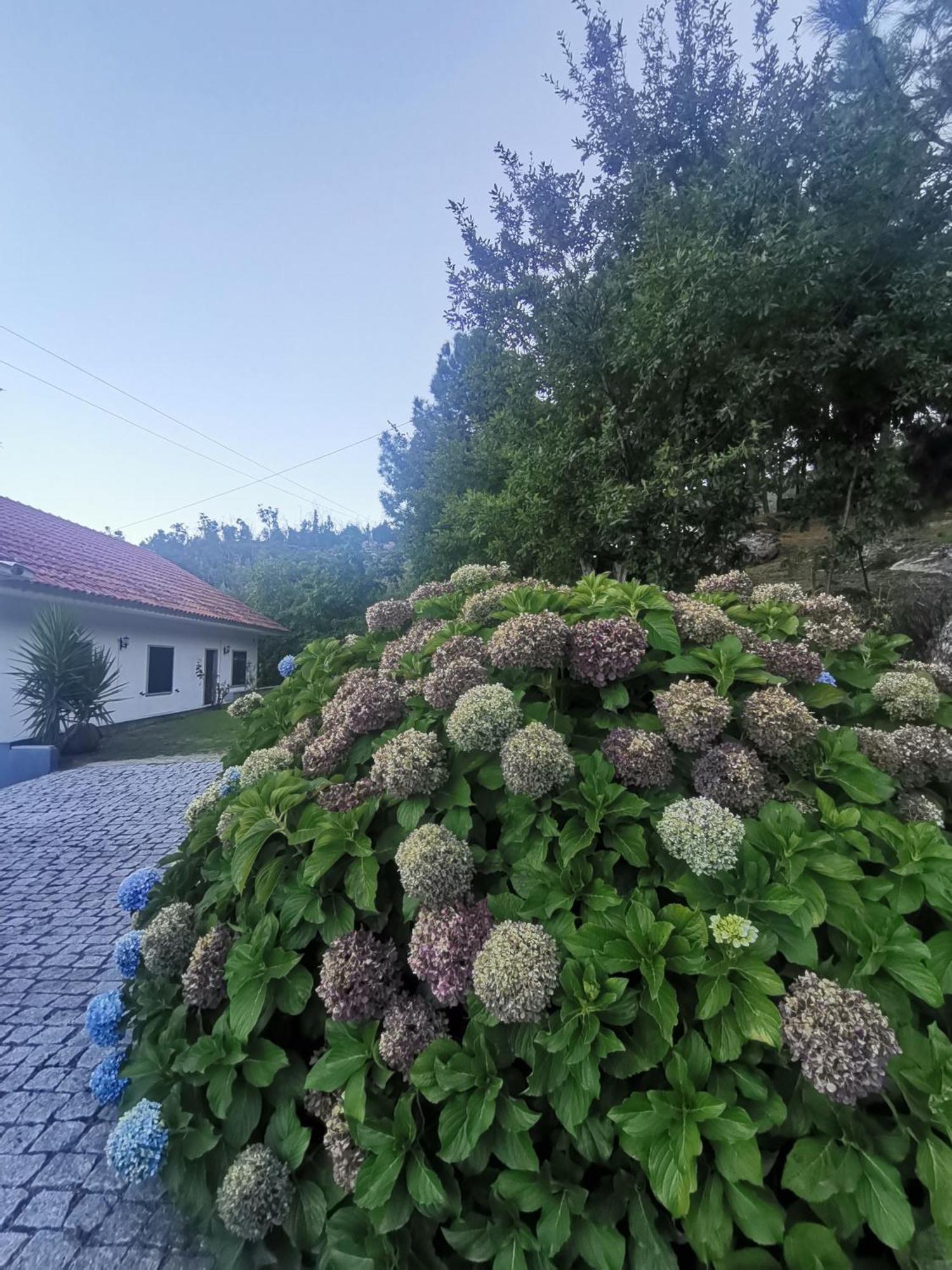 Vila Quinta Souto Da Ordem - House Castelo Novo Exteriér fotografie